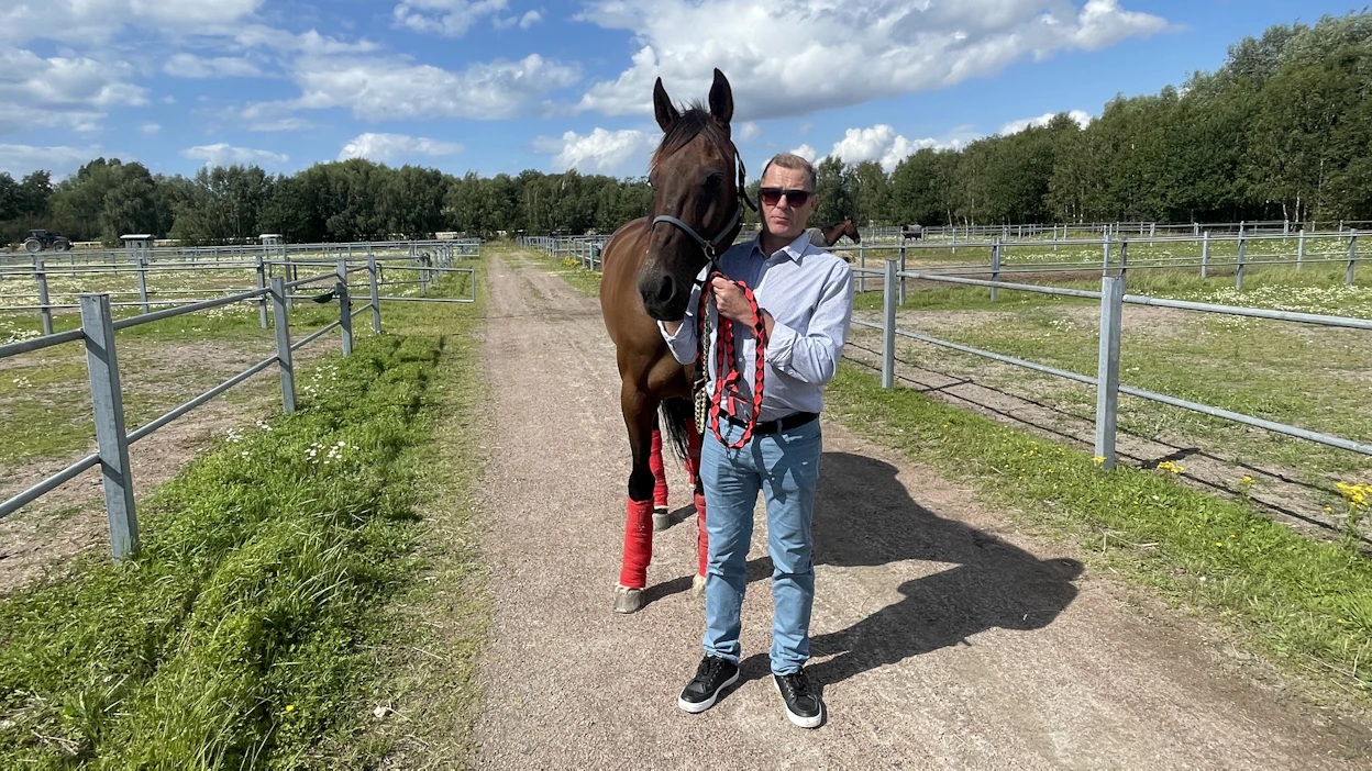 Hannu Korven Hierro Boko latautui illan kisaan ulkoilemalla Jägersron raviradan tarhoissa.