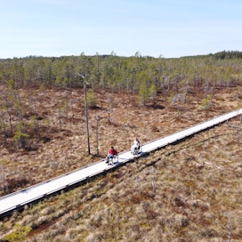 Suomen esteettömiä luontopalveluita kehitetään jatkuvasti. Kauniiden reittien myötä myös liikuntarajoitteiset retkeilijät saavat kokea samat hienot näkymät ja luonto­elämykset kuin muutkin luonnossa liikkujat. 