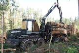 Puunkorjuussa ei juuri vedetty henkeä keskikesälläkään.
