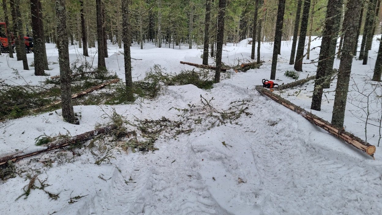 Metsälaki tuli voimaan vuonna 2014.