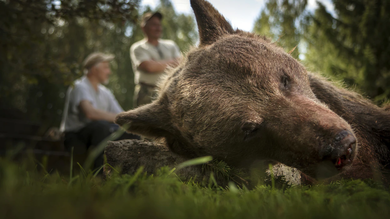 Karhumetsällä. Kuvan henkilöt eivät liity kirjoitukseen.