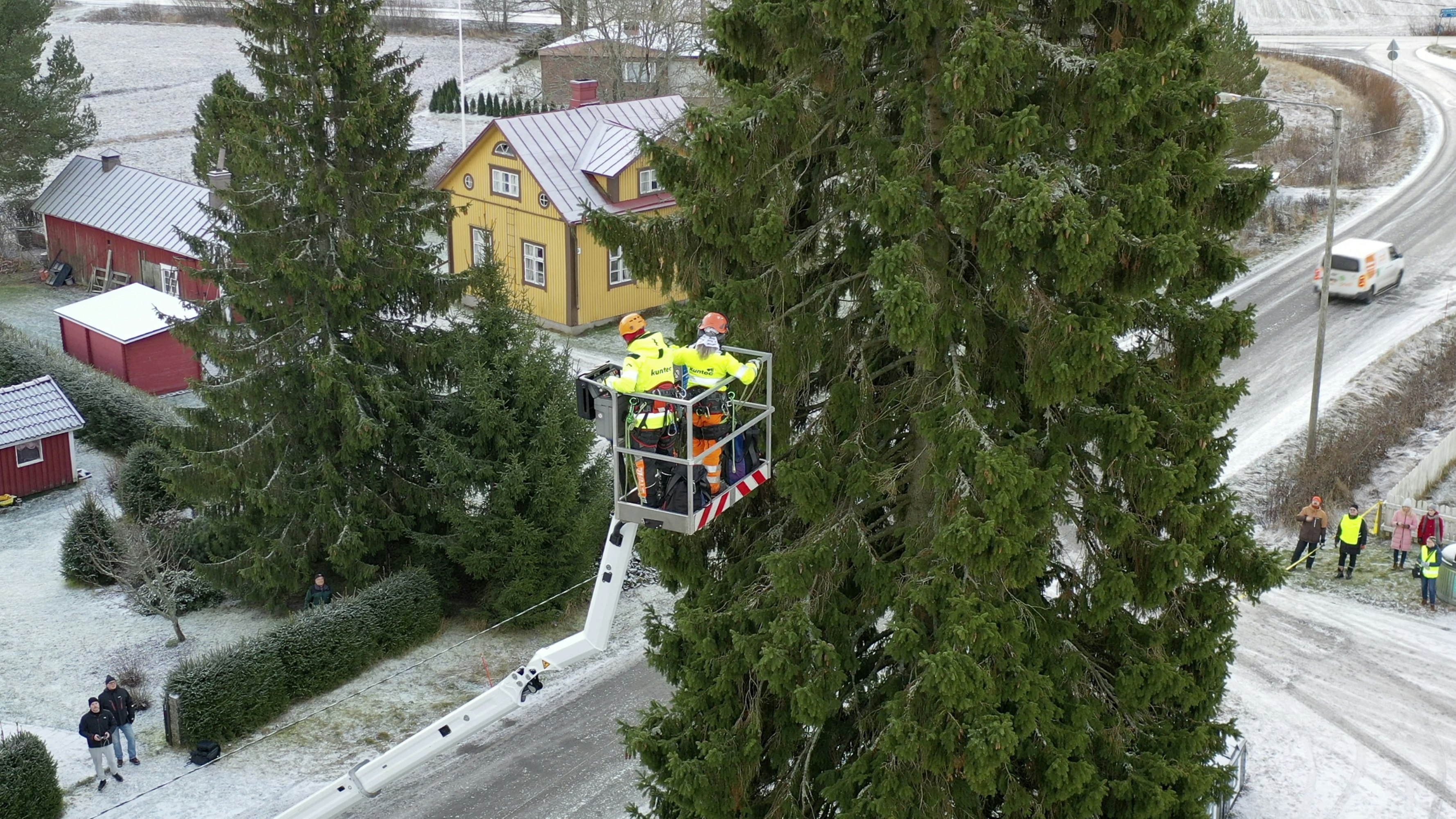 Työnjohtaja Jaana Saraste ja arboristi Sanna Koskinen nousivat kiinnittämään kuusen nostoliinan.