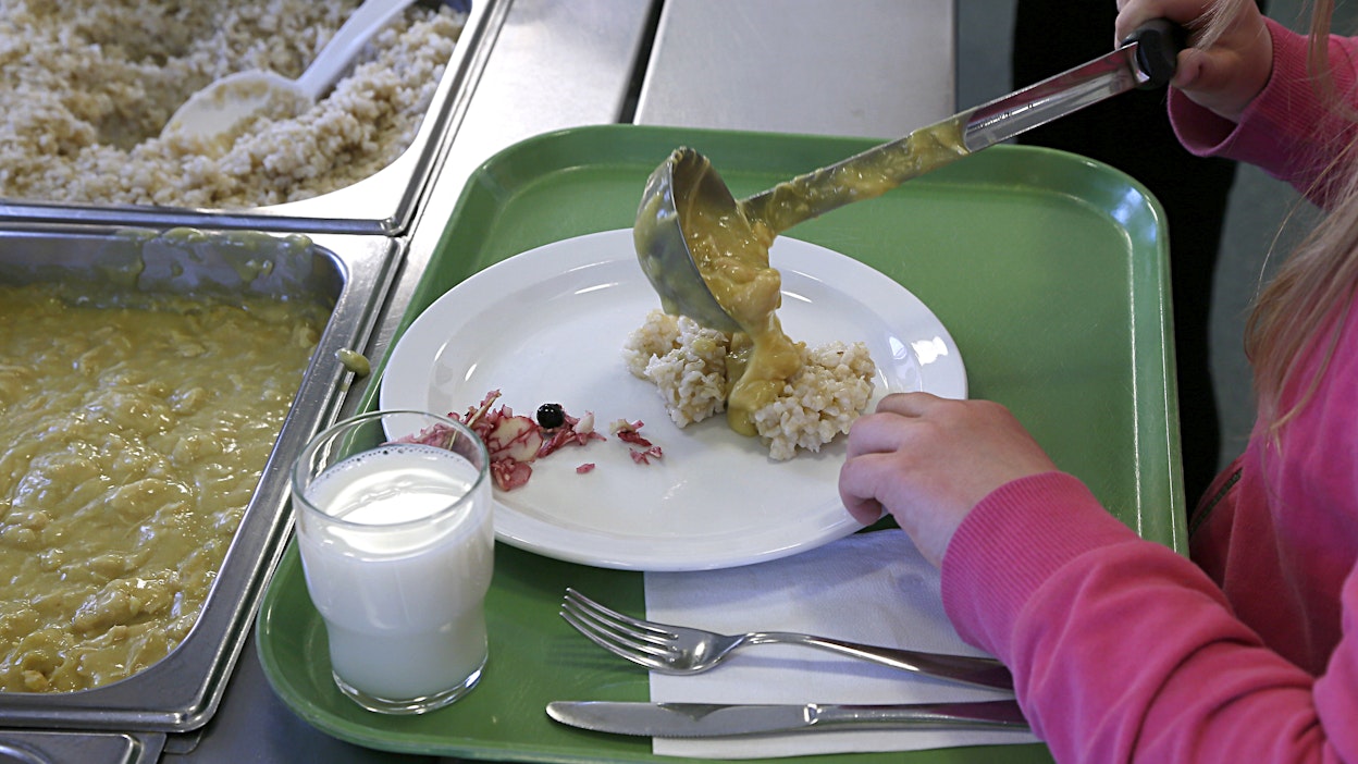Lihan, maitotuotteiden ja kananmunien kotimaisuusaste on selvityksen mukaan korkea.