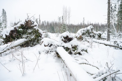 Myrsky riepotteli Suomea ja Ruotsia 27. joulukuuta. Suomessa se sai nimekseen Hannes, Ruotsissa Johannes. 