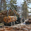 Se, miten paljon hakkuita pitää vähentää, riippuu maankäyttösektorin muista toimista.