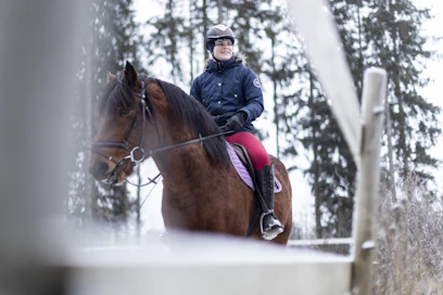 Kuusivuotias suomenhevosori, Lavilan Oliver, on ollut Jutta Selinin vuokrahevosena kolmisen kuukautta. Mirka Kiviharjun yksityisellä tulee ratsastettua kerran tai pari viikossa.