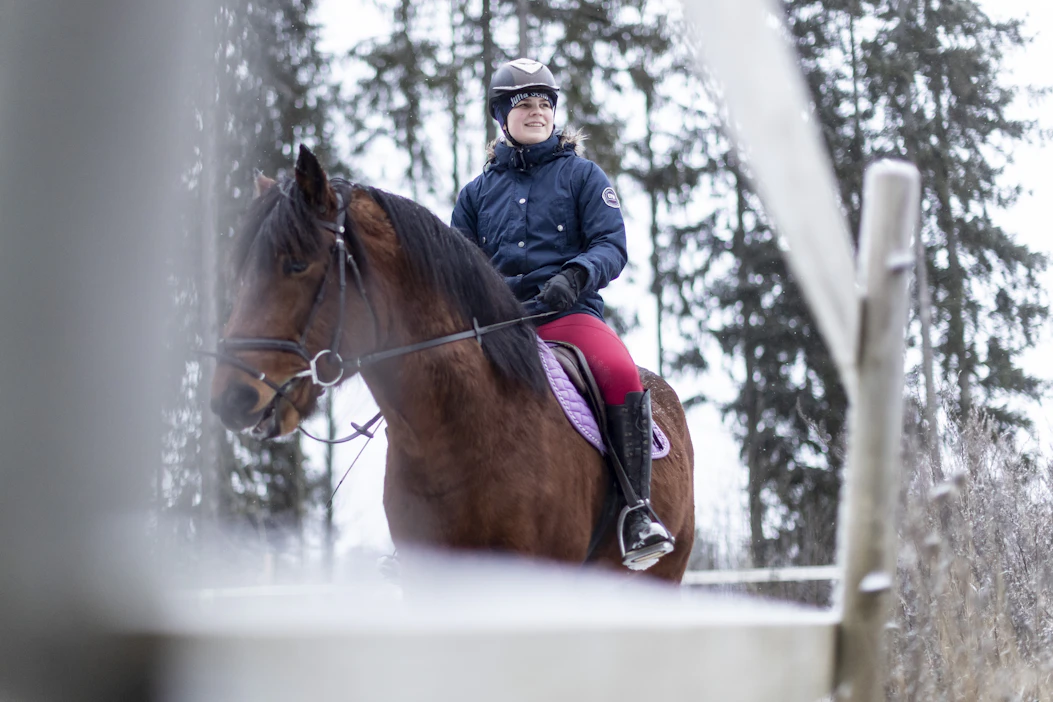 Kuusivuotias suomenhevosori, Lavilan Oliver, on ollut Jutta Selinin vuokrahevosena kolmisen kuukautta. Mirka Kiviharjun yksityisellä tulee ratsastettua kerran tai pari viikossa.