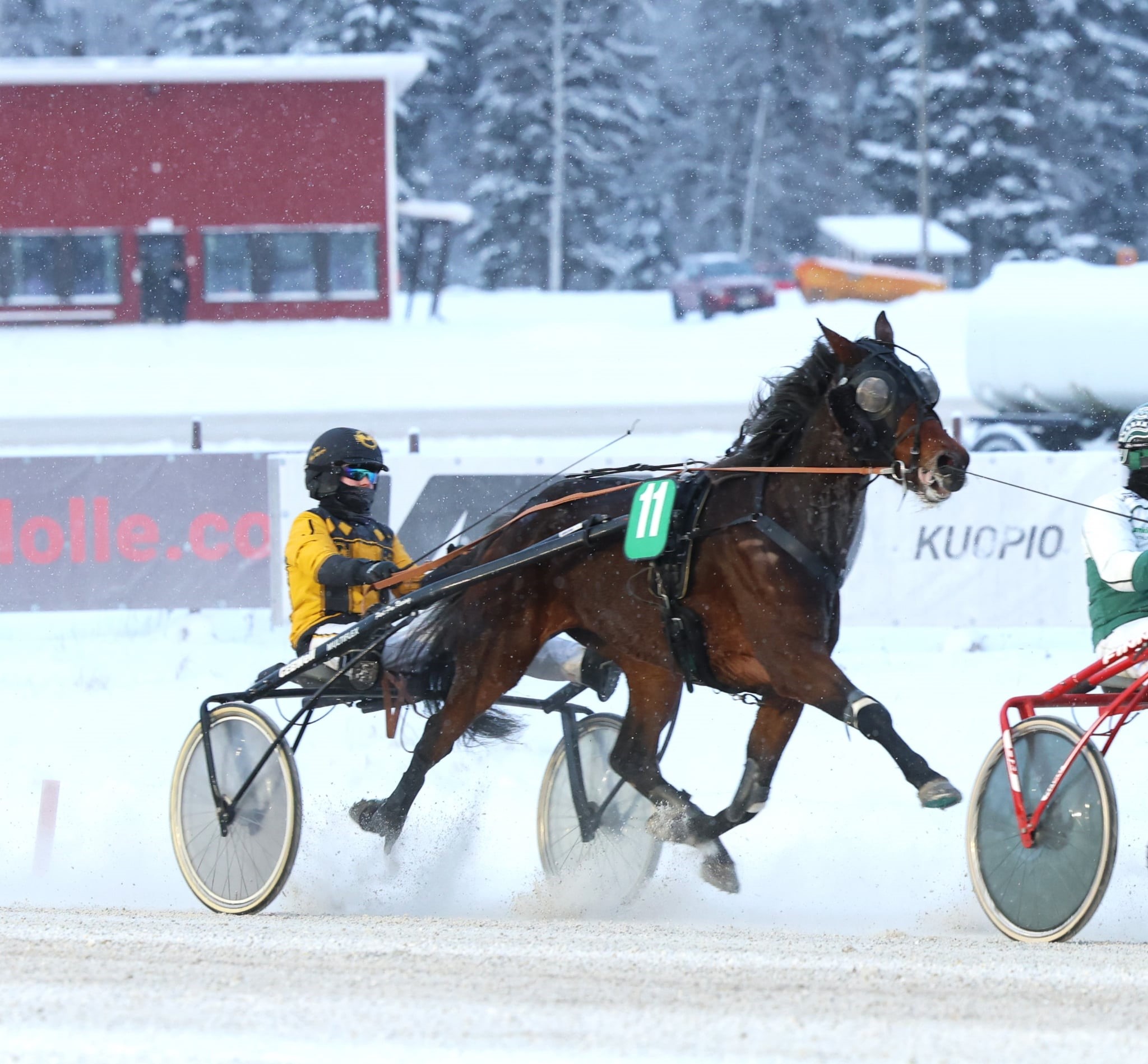 Jere Ala-Korpi on hevosurheiluperheen lapsi, mutta kolmesta sisaruksesta aina, joka on alan syrjässä kiinni. 