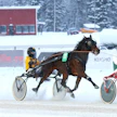 Jere Ala-Korpi on hevosurheiluperheen lapsi, mutta kolmesta sisaruksesta aina, joka on alan syrjässä kiinni.