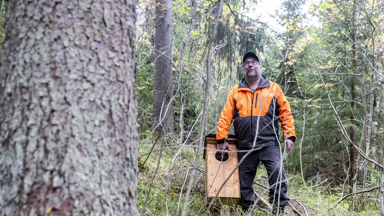 Pekka Muuttomaa viettää suurimman osan ajastaan metsässä joko metsätöissä tai lintuharrastuksensa parissa.