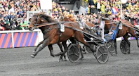 Se on siinä, mikä taivaalline hevonen Idao de Tillard on, tuntuu ohjastaja Clement Duvaldestin tuumivan Prix d’Ameriquen maalilinjalla.