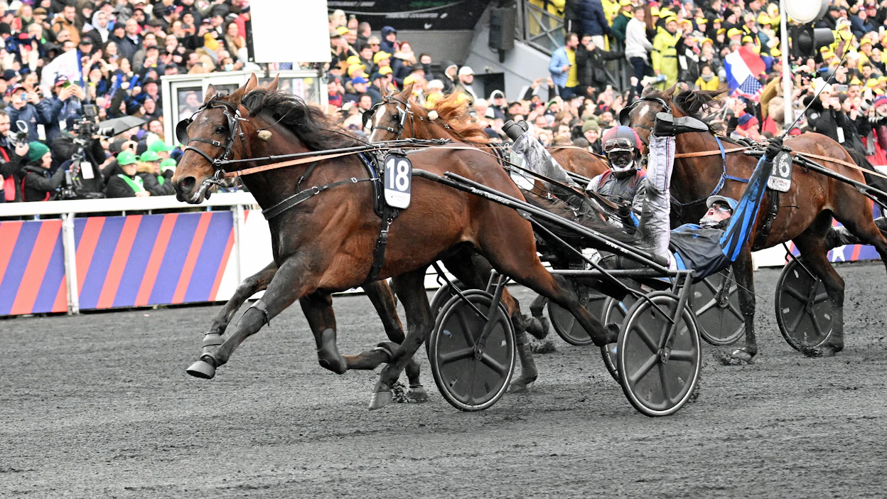 Clement Duvaldestinin ohjastama Idao de Tillard voitti toistamiseen Prix d’Ameriquen viime tammikuussa.
