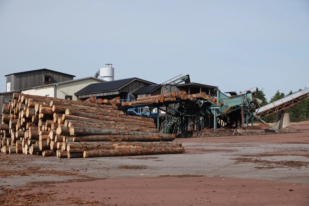 Önnigebyn sahalla on runsaasti kuusitukkeja sahattavana, sillä metsänomistajat ovat hakkauttaneetkuusikoita varsin voimakkaasti kirjanpainajien pelossa.