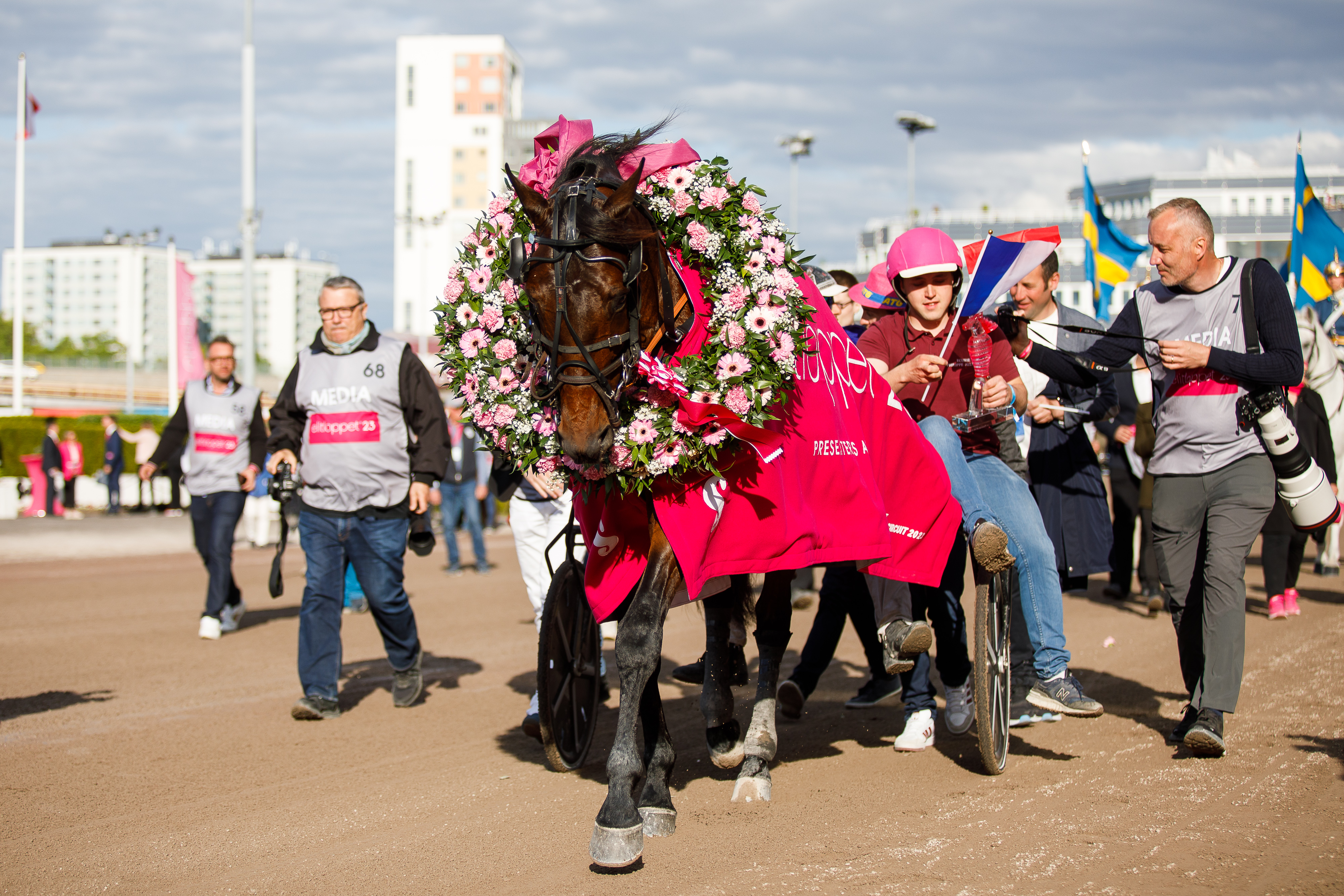 Gabrielle Gelorminin ohjastama ja Philippe Allairen valmentama Hohneck voitti Elitloppetin toissa vuonna.