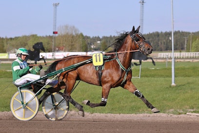 Juho Ihamuotilan ohjastama Evert Knows starttaa maanantai-illan T4-pelin kolmannessa kohteessa.