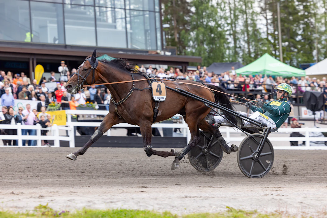 Massimo Hoist ansaitsi viime kaudella yli 263 000 euroa. Suurin yksittäinen palkinto 80 000 euroa tuli Suur-Hollolan voitosta Lahden Jokimaalla.