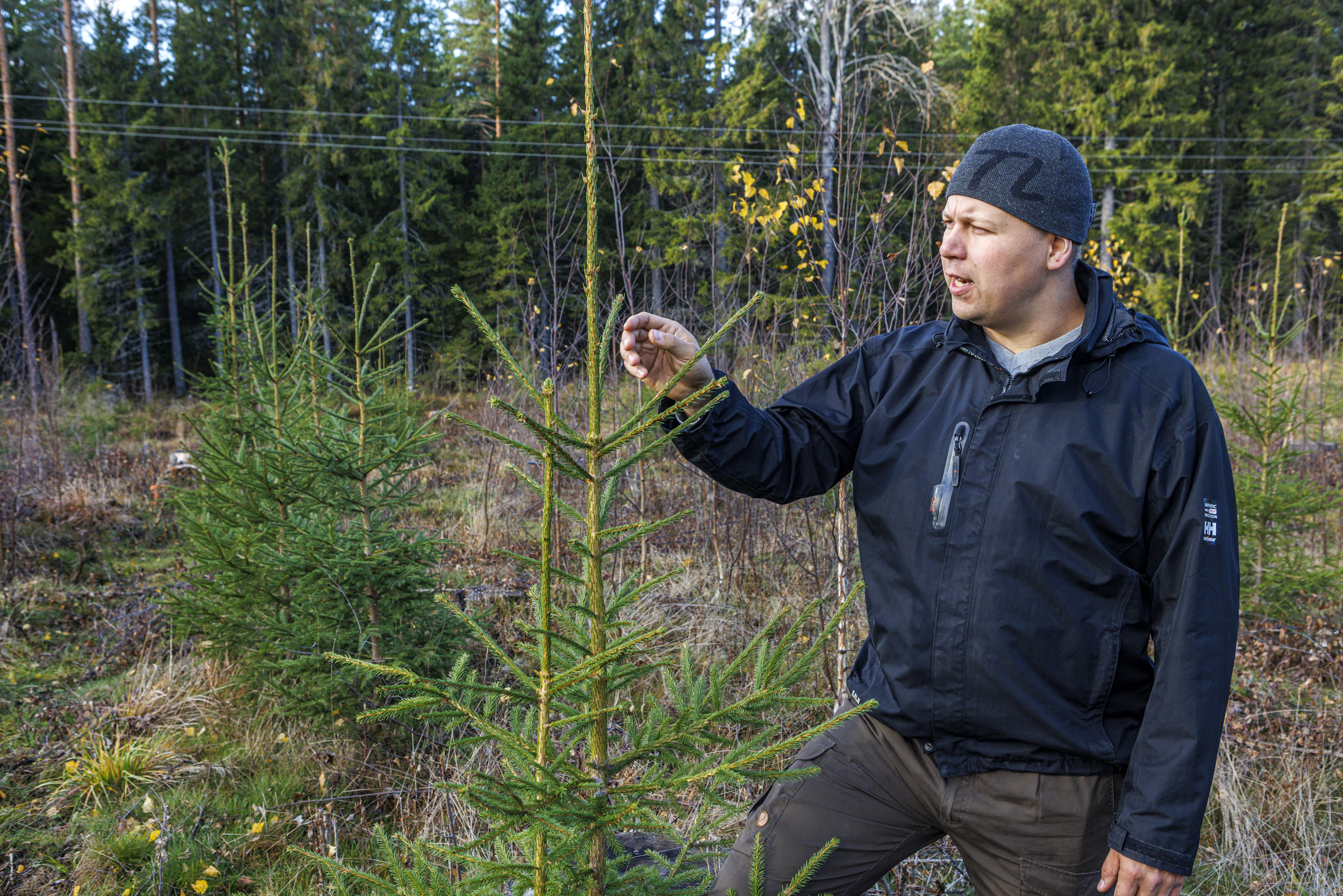 Janne Korhosen mielessä on vielä monia kysymyksiä rivimenetelmästä. Tutkimus tuonee niihin vastaukset, hän toivoo.
