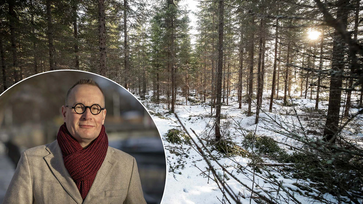 Politiikan tutkija Markku Jokisipilän mukaan metsistä käytävä keskustelu vaalien alla on vilkkaampaa kuin kenties koskaan aikaisemmin.