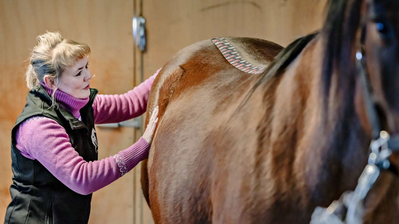 Hevoshieroja Marika Kuoppalan omalla Tollo-hevosella on likietuiset hierontapalvelut. Tollo on entinen asiakas, eli se jäi hierojalle ”käsiin”. Tollon lisäksi kotitallilla on kolme hevosta.