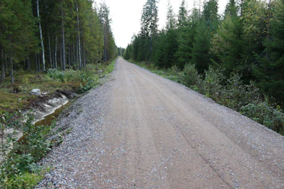 Toimiva yksityistieverkosto parantaa huoltovarmuutta ja helpottaa muun muassa kotimaisen puun kuljetuksia yksityisteiden varsilta metsäteollisuuden ja energiatuotannon tarpeisiin. Kuvituskuva.