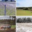 Euroopan komissio edellyttää jäsenmailta tukien saannin ehtona olevien vaatimusten valvontaa, esimerkiksi viljeltäviä kasvilajeja, suojavyöhykkeitä, ravinteiden käyttöä tai talviaikaista kasvipeitteisyyttä. Kuvituskuva.
