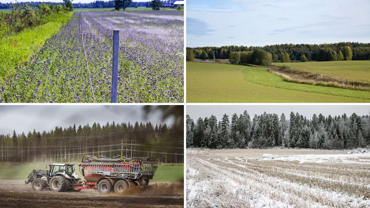 Euroopan komissio edellyttää jäsenmailta tukien saannin ehtona olevien vaatimusten valvontaa, esimerkiksi viljeltäviä kasvilajeja, suojavyöhykkeitä, ravinteiden käyttöä tai talviaikaista kasvipeitteisyyttä. Kuvituskuva.