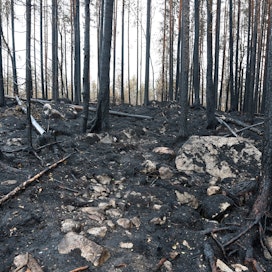 Metsäpalo teki tuhoisaa jälkeä Kalajoen Rautiossa alkukesästä 2021.