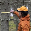 Kun oma metsäosaaminen oli nollassa, kaikki apu tuli tarpeeseen.