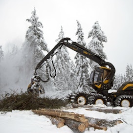 Aktiivinen ja oikea-aikainen metsien hoito on Metsäteollisuus ry:n Karoliina Niemen mukaan avainasemassa metsien hiilinielujen kasvattamisessa.