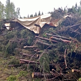 ”Energiapuulle on nyt kysyntää”, muistuttaa Etelä-Karjalan metsänhoitoyhdistys.
