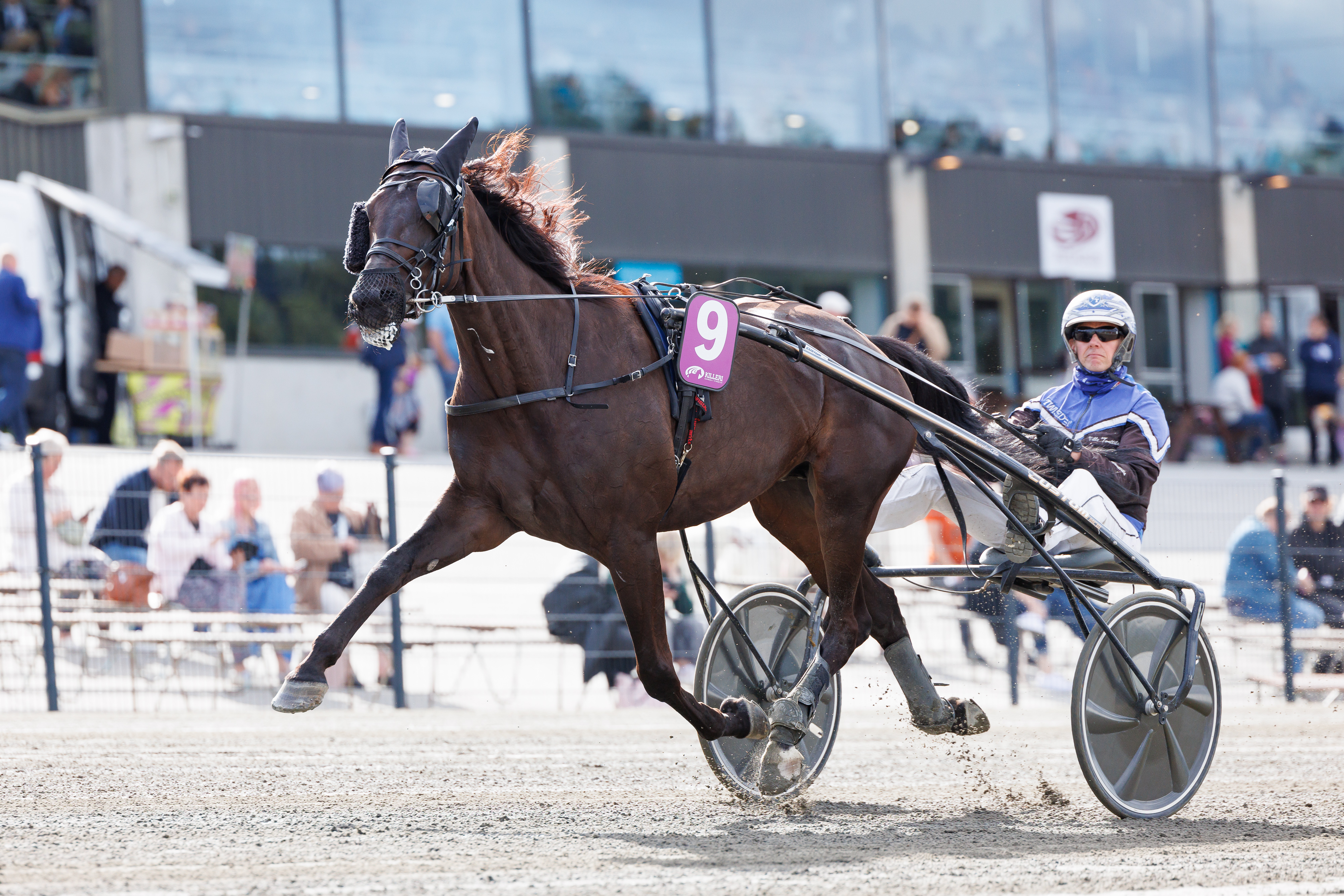 Suur-Hollola Ajo kuului alun perin An-Dorran suunnitelmiin, mutta suurkilpailu jäi lopulta juoksematta.