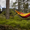 “Yön nukkuminen ulkona kuulostaa helpolta haasteelta, mutta tänäkin vuonna moni nukkuu yönsä ulkona ensimmäistä kertaa”, kertoo Suomen Ladun Petteri Tiainen. Kuvituskuva.