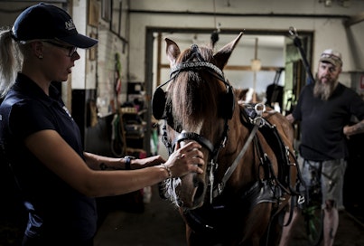 Pienikokoinen Paletin Liekki on vienyt Vilma Leppäkankaan pitkälle. Taustalla Vilman isä Risto Leppäkangas.