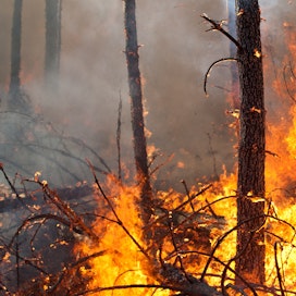 Stora Enson mukaan palon aiheuttamat tuhot tulevat vaikuttamaan toimintaan. Kuvituskuva.