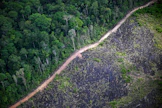MapBiomasin mukaan Amazonin sademetsän alueella kaadetaan edelleen keskimäärin viisi puuta joka sekunti. AFP/LEHTIKUVA. 