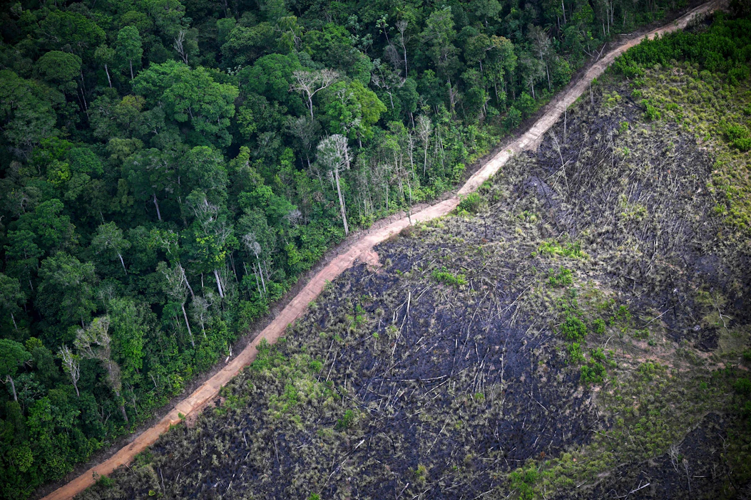 MapBiomasin mukaan Amazonin sademetsän alueella kaadetaan edelleen keskimäärin viisi puuta joka sekunti. AFP/LEHTIKUVA.