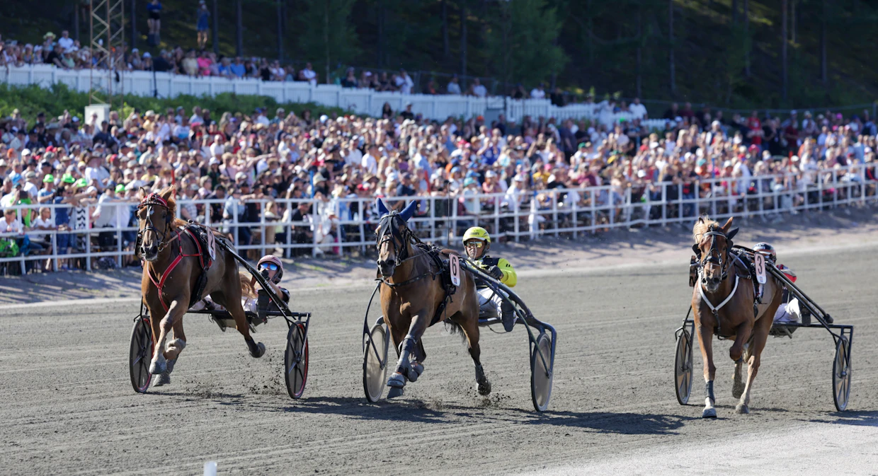 Kuningatarkilpailussa on kolme hevosta karussa muilta. Vasemmalla kirivä Jockas Rita voitti ennen Villilottaa ja sisimpänä tulevaa Akvarellia, joka jäi voittajasta 0,2 sekuntia.