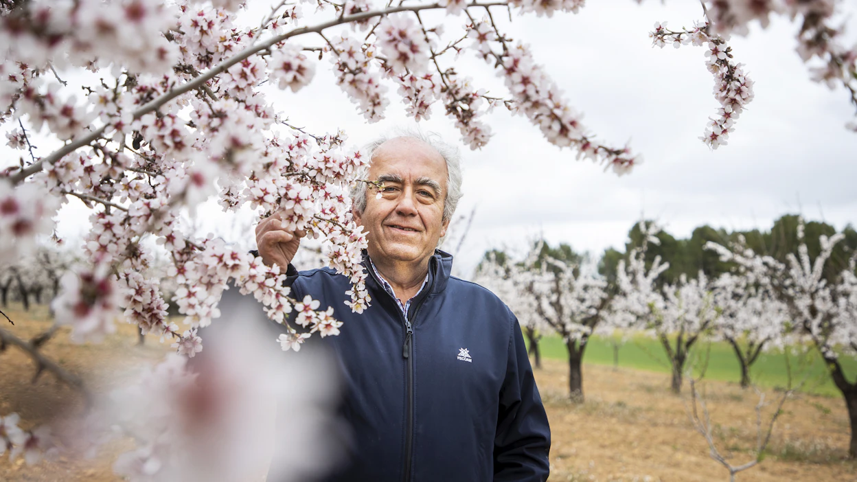 Espanjalainen Francisco Carreño kasvattaa mantelipuita ja viljelee viinirypäleitä sekä viljaa tilallaan, josta 90 prosenttia on metsää. Metsillä on tärkeä tehtävä estää eroosiota ja pidättää sateita.