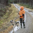 Pääosa hirviluvista on jo käytetty. Hirven metsästys päättyy 15. tammikuuta.