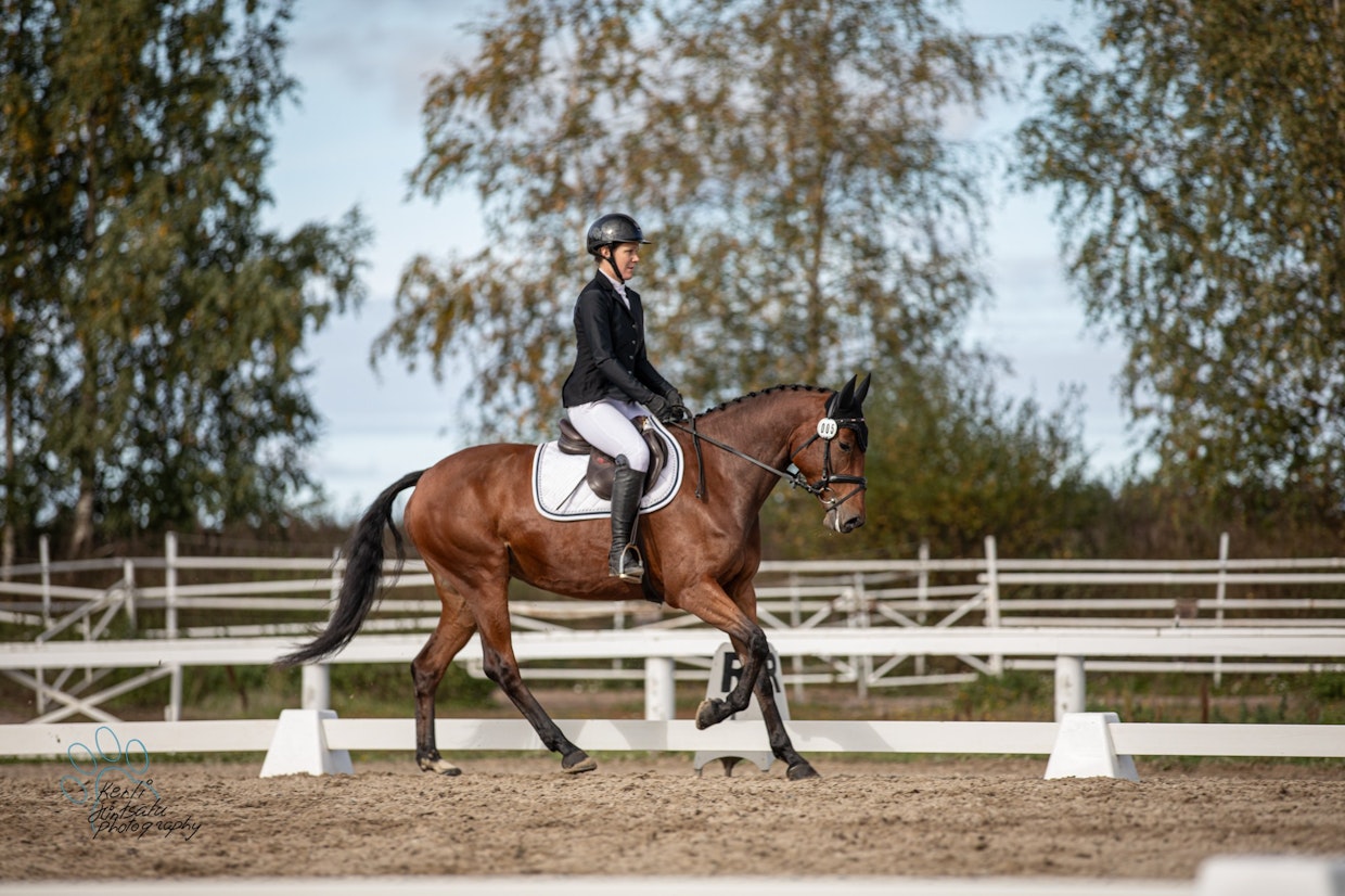 Sari Simola on kilpaillut ratsastuksessa sekä koulu- että esteluokissa.