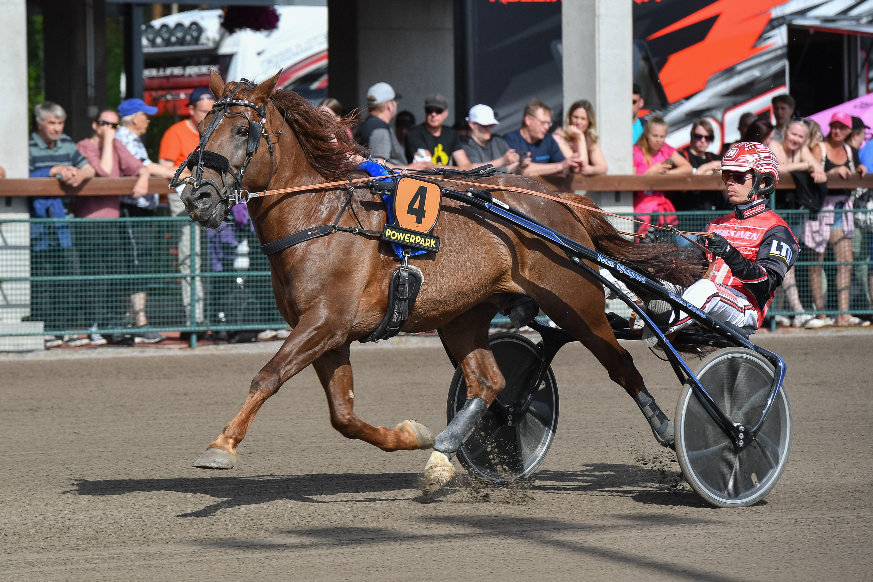 Evartti saapuu Jokimaalle Härmän Nordic King -voitto vyöllään. Ori on Suur-Hollolan kaksinkertainen voittaja vuosina 2020 ja 2023.