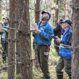 Metsätaitokilpailut tarjoavat hyvän mahdollisuuden kisailun ohessa oppia lisää suomalaisesta metsästä. 