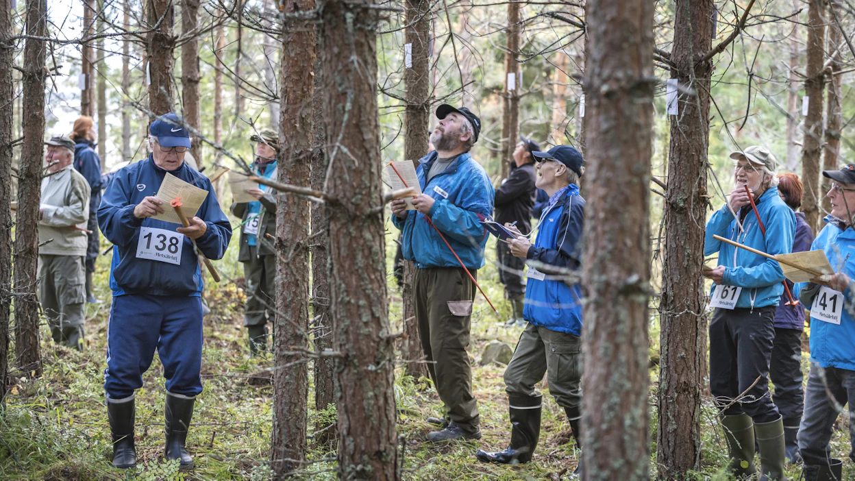 Metsätaitokilpailut tarjoavat hyvän mahdollisuuden kisailun ohessa oppia lisää suomalaisesta metsästä.