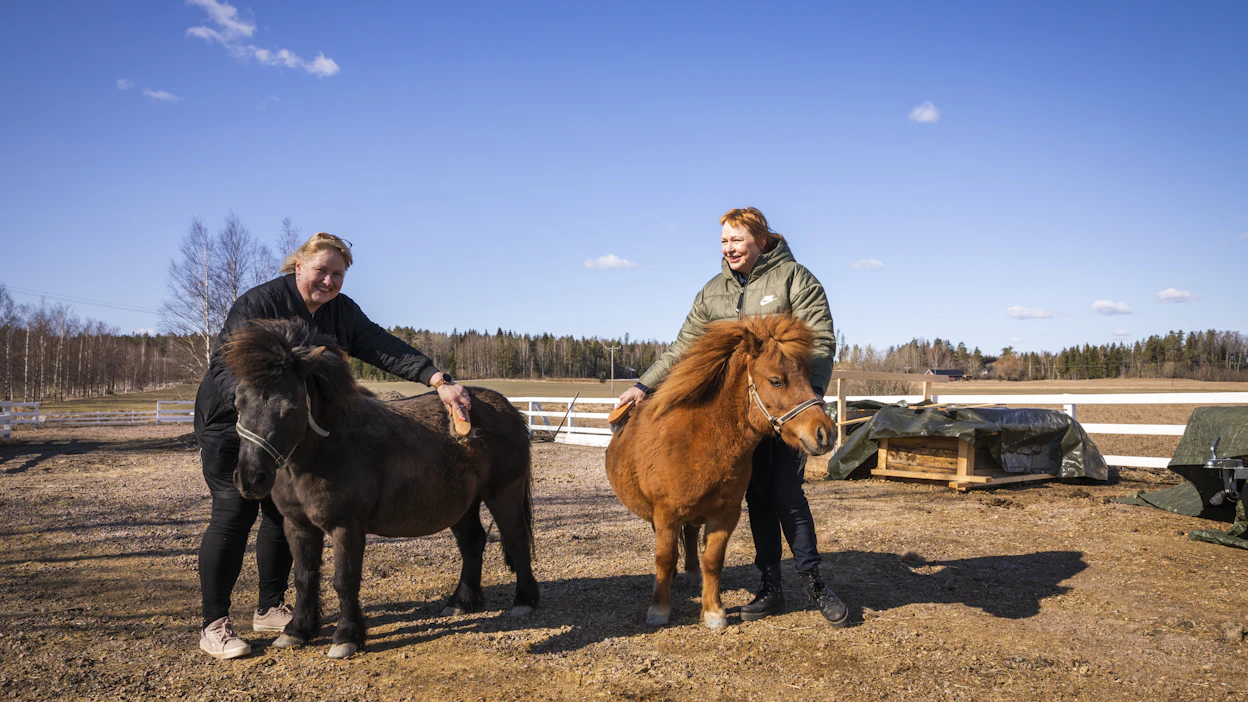 Syväpuron hoitokodissa tarjotaan hevosavusteista toimintaa. Vastaava sairaanhoitaja Kaarina Suutarinen (vas.) ja palveluvastaava Sanna Schmandt (oik.) harjasivat shetlanninponeja.