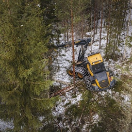 Suomessa käytetyn puun ja kuidun sertifiointiaste lähenee 90 prosentin tavoitetta.