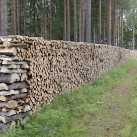 Tänä vuonna aiempaa useampi on täyttänyt talven puuvarastot äärimmilleen.