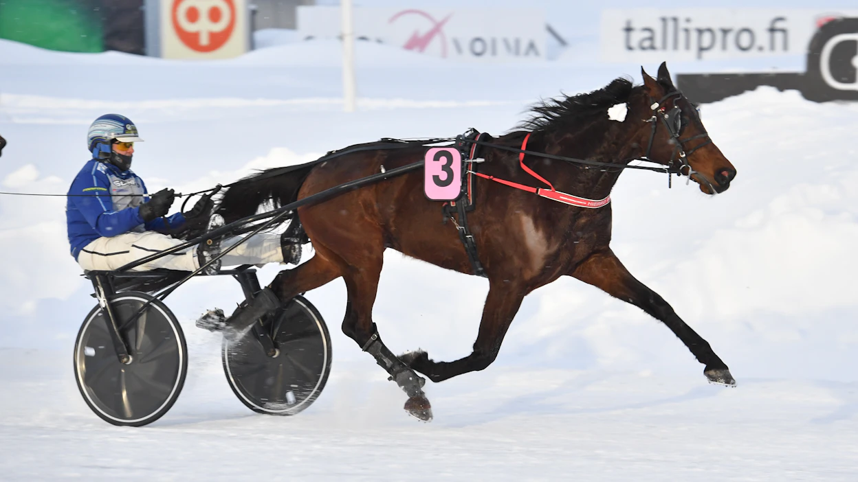 Hierro Boko jatkoi voittokannassa Kuopion kultadivisioonassa. Jarmo Saarela ohjasti.