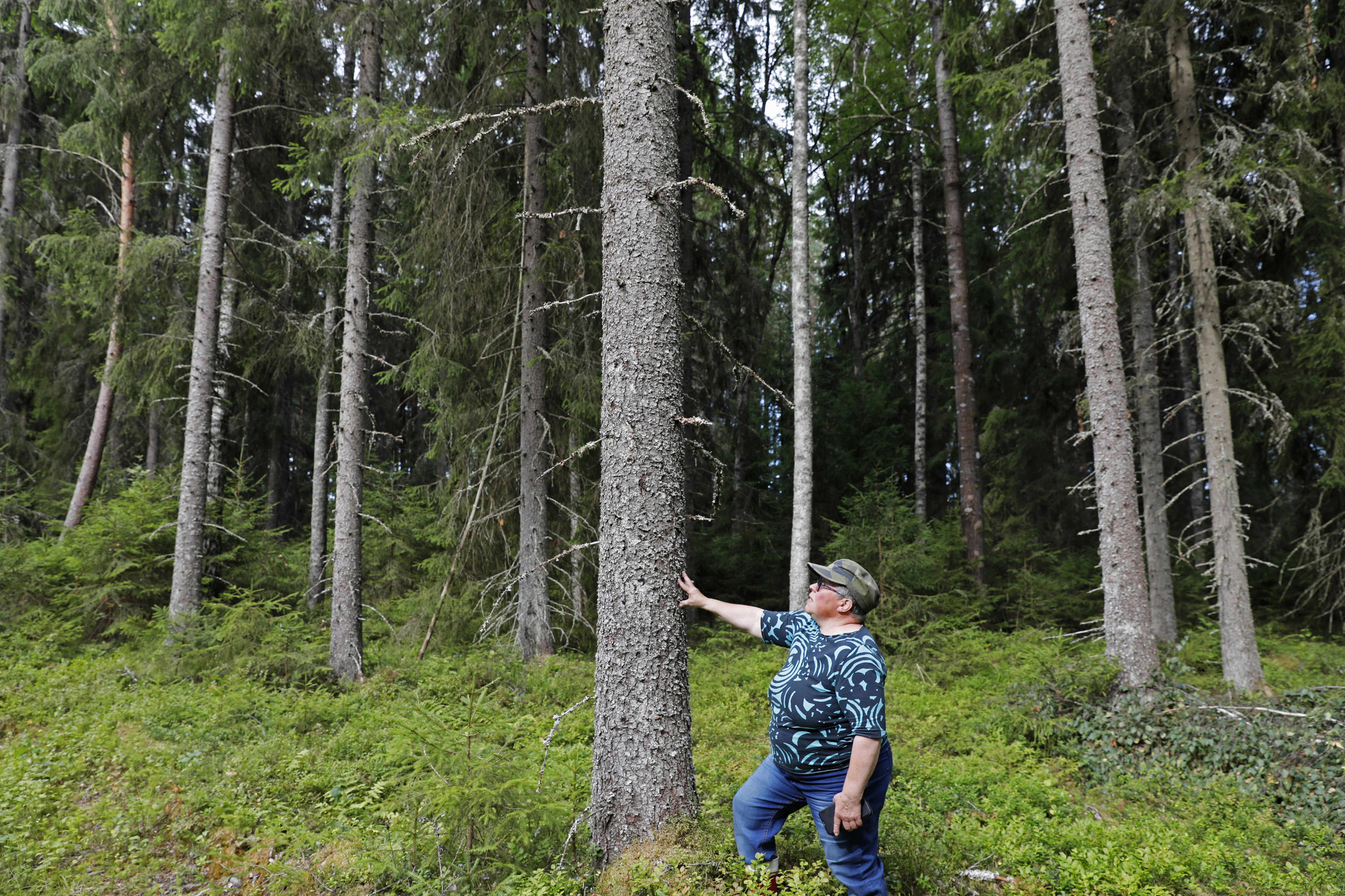 Hanna Vahalan sukuselvityksessä on päästy vuoteen 1557 asti. ”Olen Vahalan tilalla 15. lenkki ja kolmatta kertaa tila on päätynyt naiselle.” 