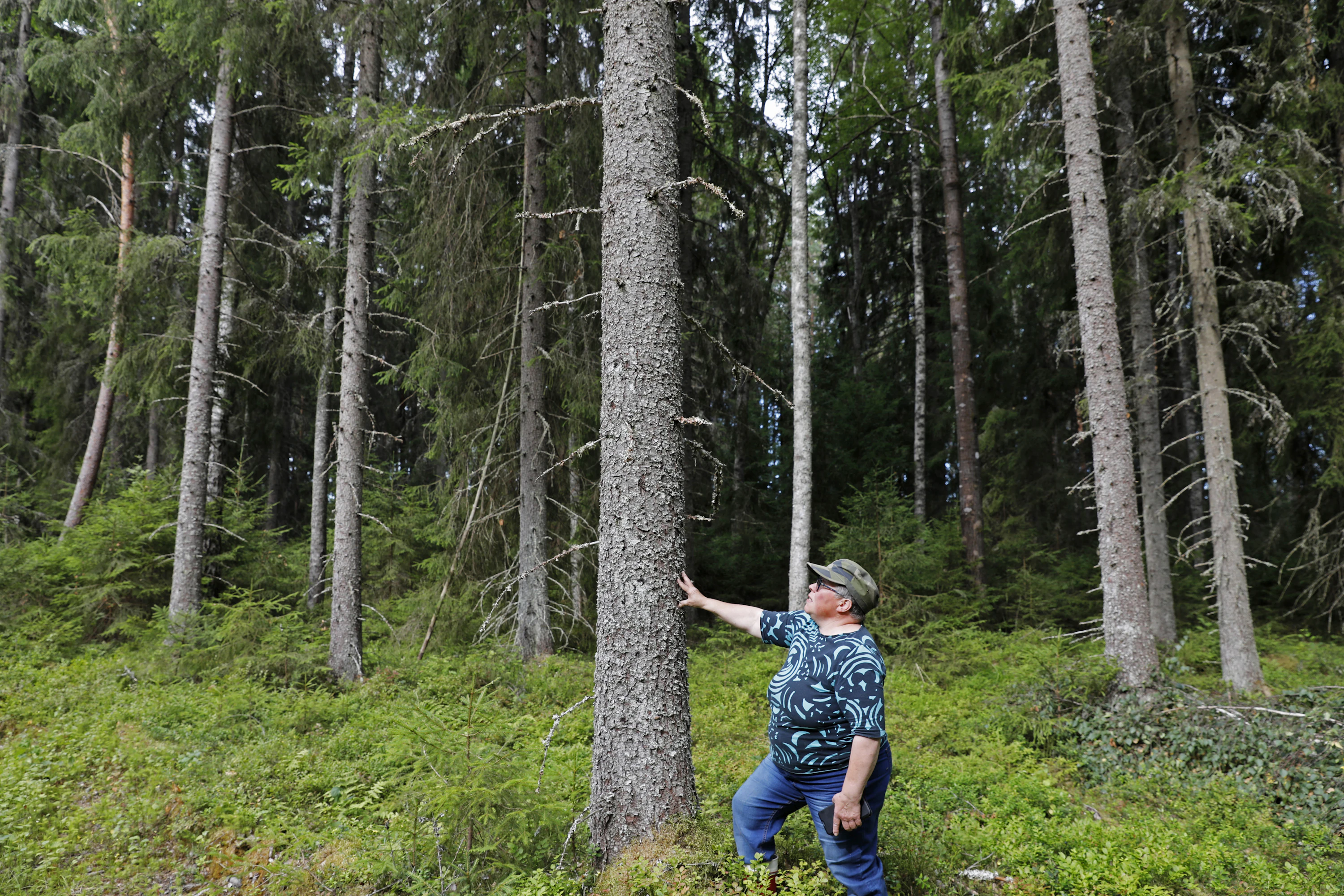Hanna Vahalan sukuselvityksessä on päästy vuoteen 1557 asti. ”Olen Vahalan tilalla 15. lenkki ja kolmatta kertaa tila on päätynyt naiselle.”