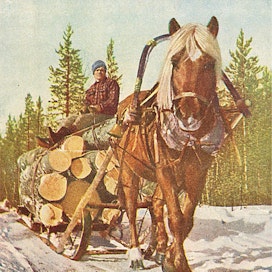 Suomessa oli 1950-luvun alussa vajaat 350 000 työikäistä hevosta, sekä 6 766 rautapyöräistä ja 7 316 kumipyöräistä traktoria. Yhtä hevosta kohti oli peltoa 6,9 hehtaaria, yhden traktorin kontolla oli 170 hehtaaria, eli maatalous oli vielä vahvasti hevosvetoinen. Metsäajot tehtiin kokonaan hevosilla, traktoreiden soveltuvuutta metsätöihin alettiin vasta kokeilla. 